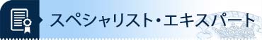 スペシャリスト / エキスパート ディプロマ