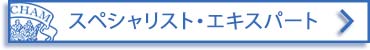 スペシャリスト / エキスパート ディプロマ
